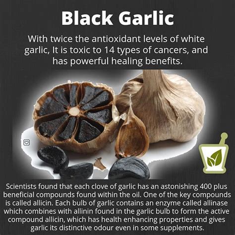 What is a toxic level of garlic?