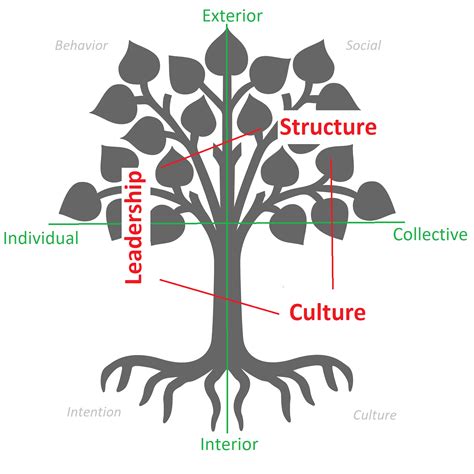 What is a tree metaphor for humans?