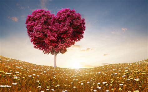 What is a tree of love?