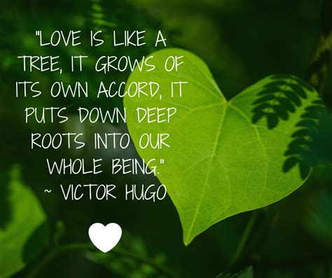 What is a tree quote about love?