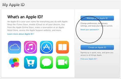 What is a typical Apple ID?
