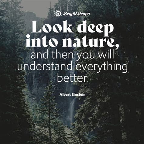 What is a unique quote for nature?