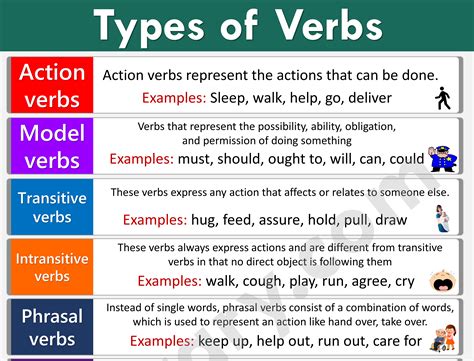 What is a verb and its types?