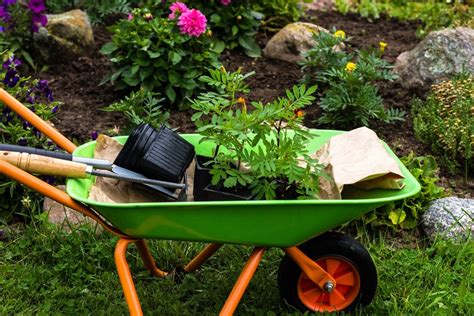 What is a wheelbarrow used for in the garden?