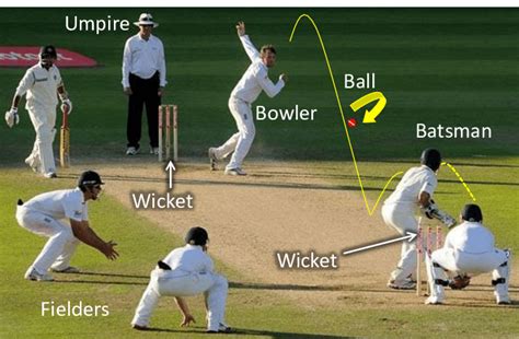 What is a wicket in cricket?