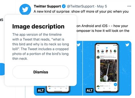 What is alt text on twitter?