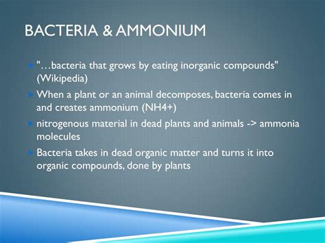 What is ammonia bacteria?