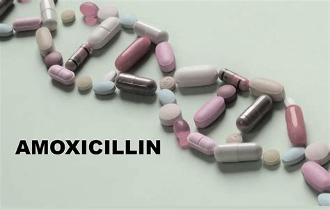 What is amoxicillin first line for?