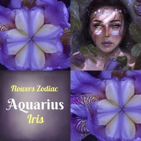 What is an Aquarius favorite flower?