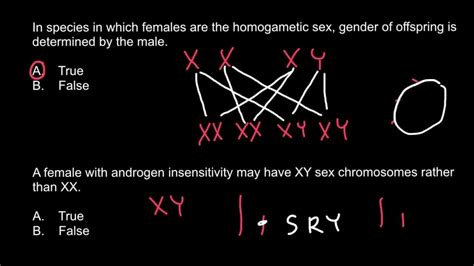 What is an XY female?