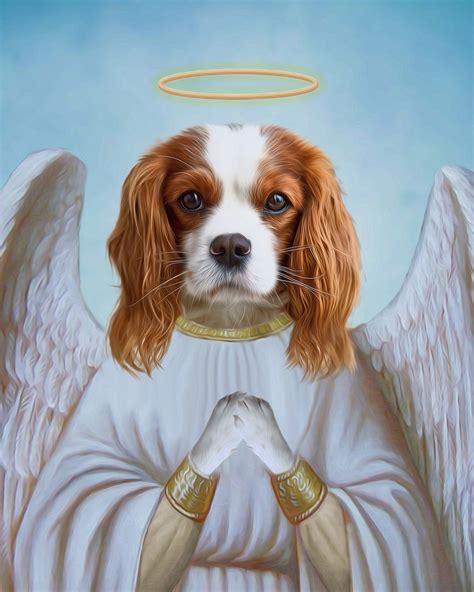 What is an angel pet?