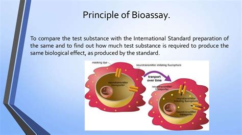 What is an environmental bioassay?