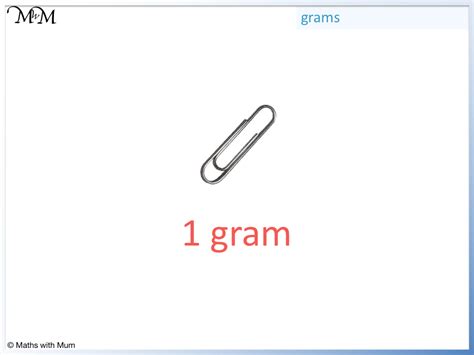 What is an example of 1 gram?