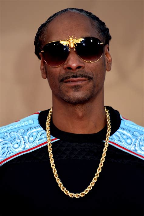 What is an example of Snoop?