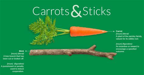 What is an example of a carrot stick?