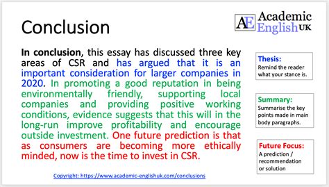 What is an example of a conclusion?
