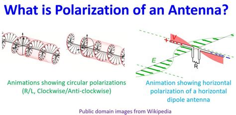 What is an example of a polarized antenna?