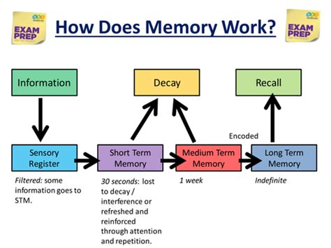 What is an example of how memory works?