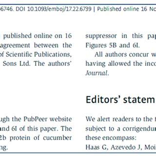 What is an example of joint authorship?