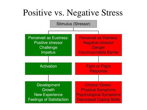 What is an example of positive and negative stress?