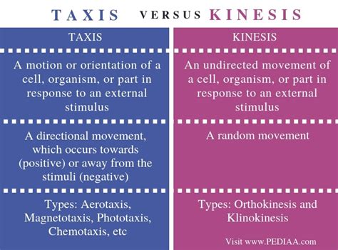 What is an example of positive and negative taxis?