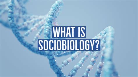 What is an example of sociobiology?