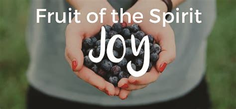 What is an example of the fruit of the Holy Spirit joy?