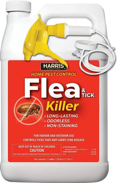 What is an instant homemade flea killer?