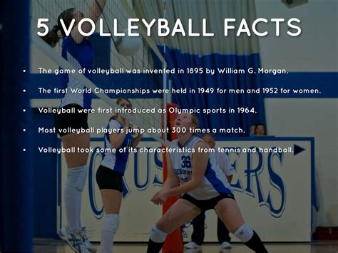 What is an interesting fact about volleyball?
