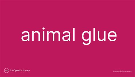 What is animal glue called?