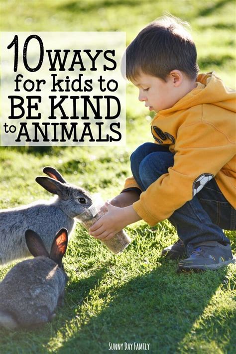 What is animal kindness?