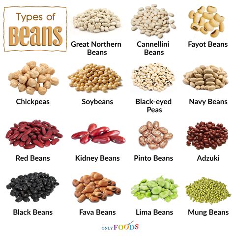 What is another meaning of bean?