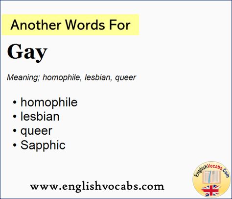 What is another word for gay in?