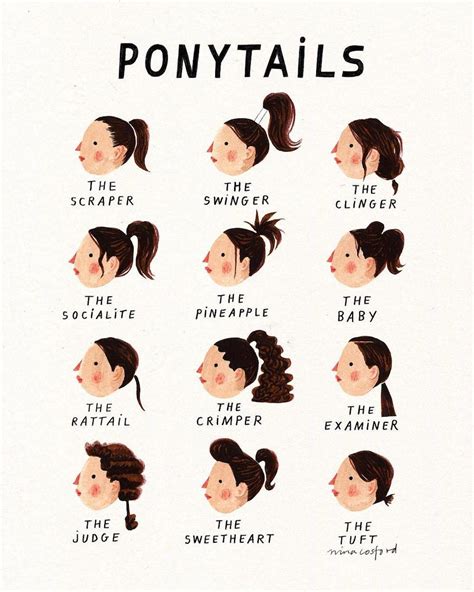What is another word for ponytail?