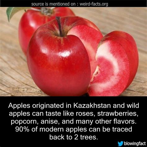 What is apple called in Kazakhstan?