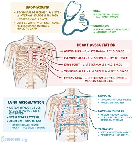 What is auscultatory technique?