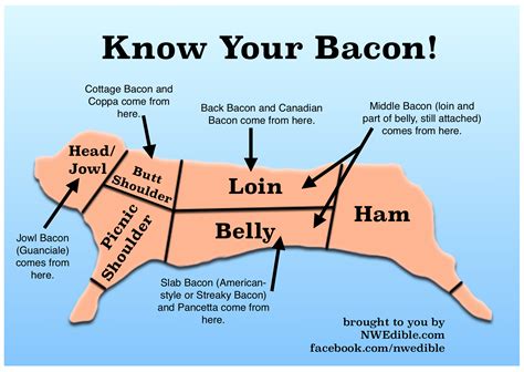 What is bacon slang for?