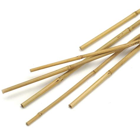 What is bamboo stick?