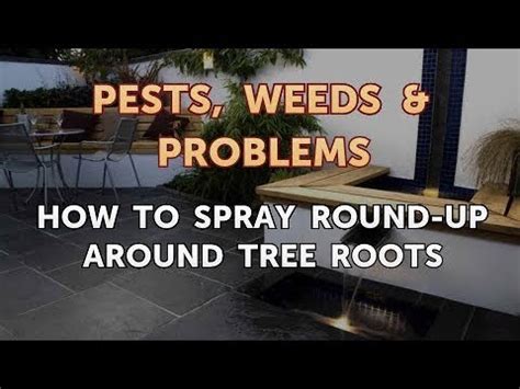 What is best to spray around trees?