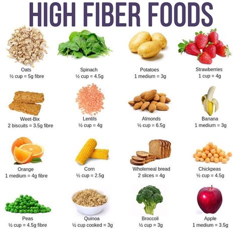 What is better fiber or protein?