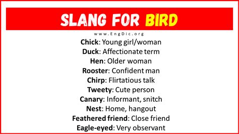 What is bird slang for?