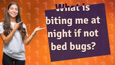 What is biting me at night not bed bugs?