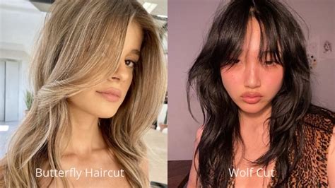 What is butterfly vs wolf haircut?