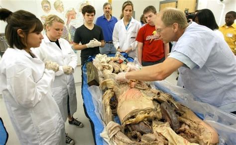 What is cadaver science?