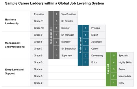 What is career level 3?
