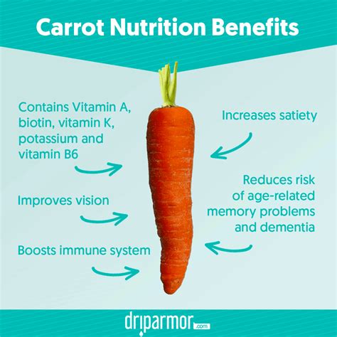 What is carrot behavior?