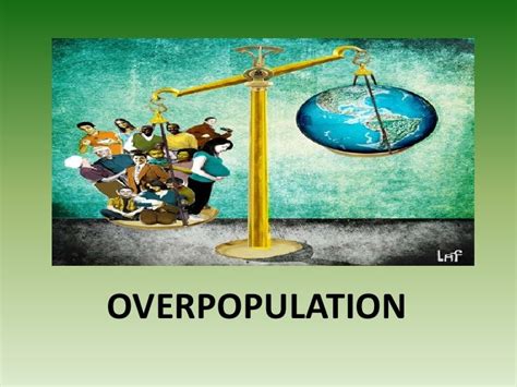 What is cause and effect of overpopulation?
