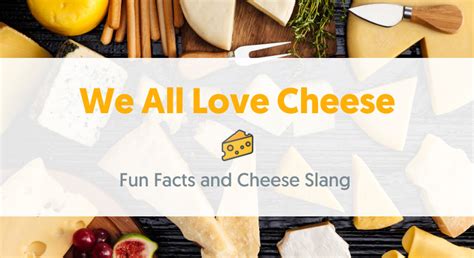What is cheese slang for?