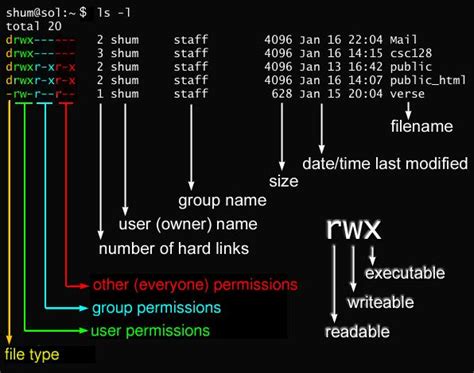 What is chmod 555?