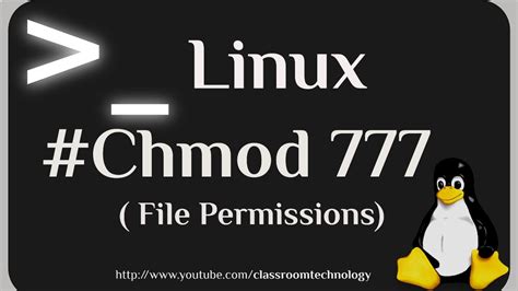 What is chmod 777 R?